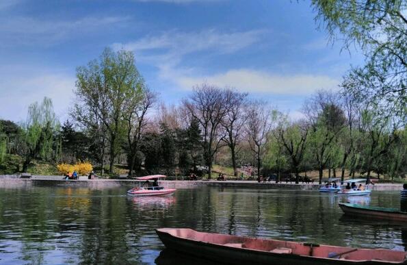 1657348214740772.jpg 按园林.jpg